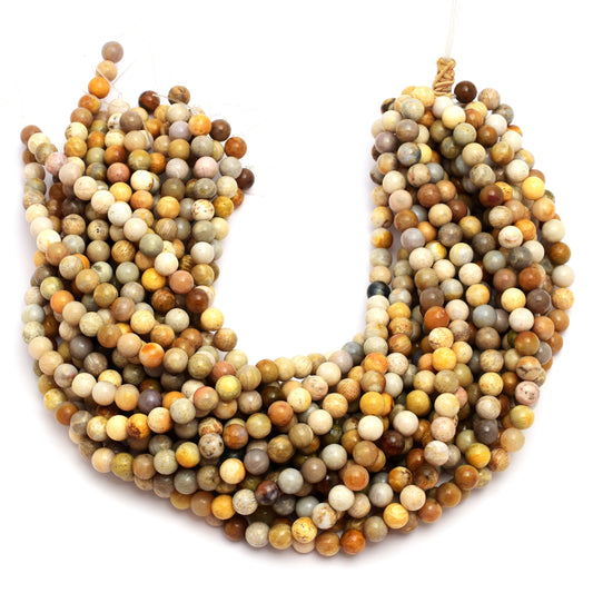 Kamal Gems | Fossil Coral Gemstone Beads
