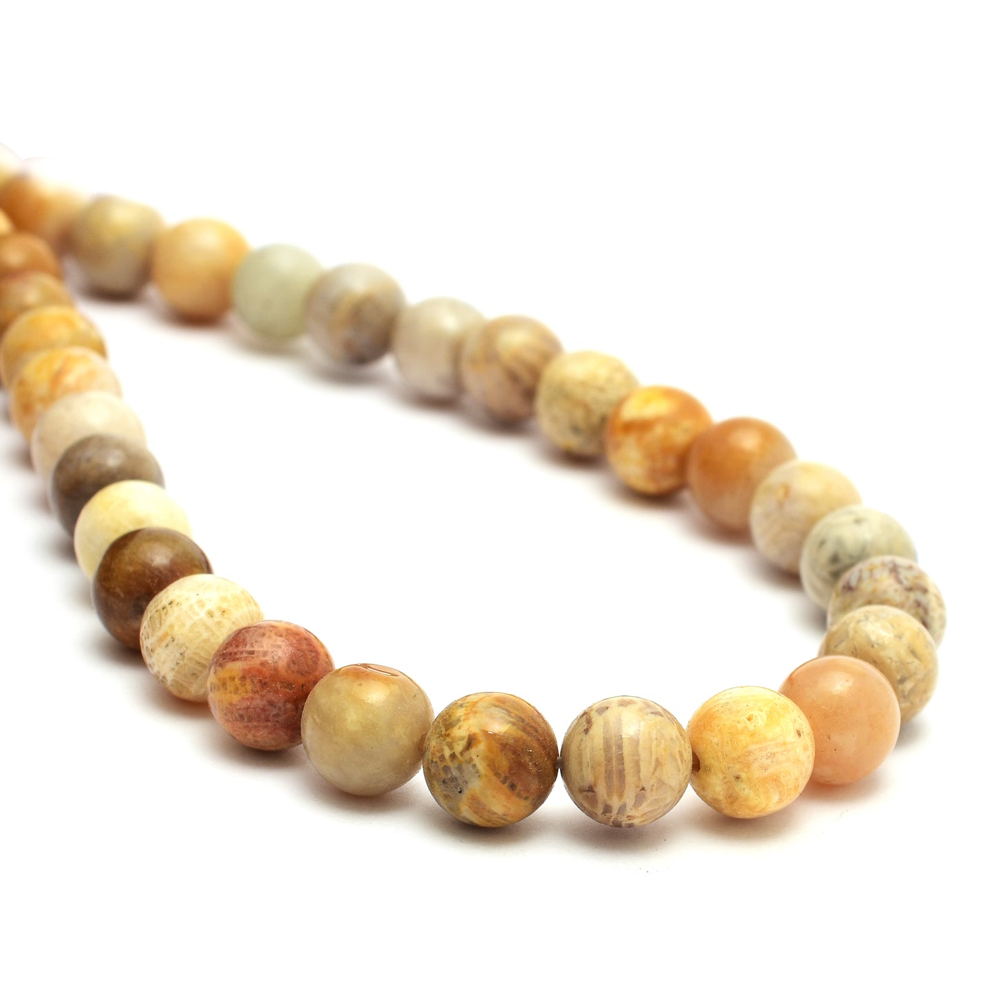 Kamal Gems | Fossil Coral Gemstone Beads